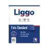 FOLIO ESCOLAR LIGGO X 100 STANDARD